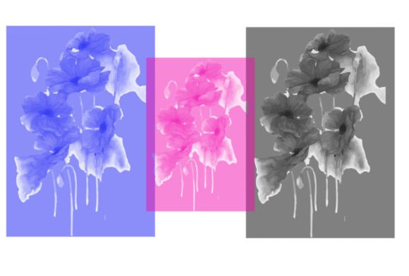 Bigflower Brush: A Digital Art Essential