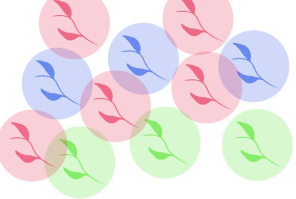 Brush 60: A Focused Digital Tool