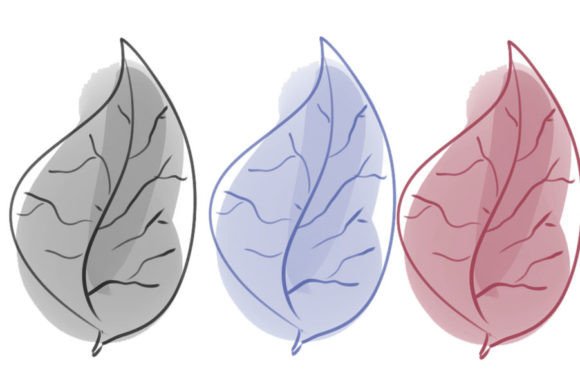 Mastering the Three Leaf Brush: Essential Tips for Digital Artists and Designers