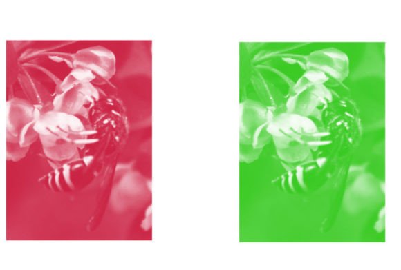 Unlock Creativity with the 44 Brush Set