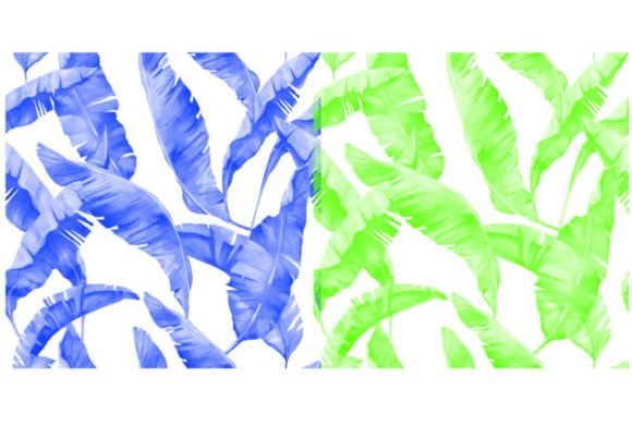 Unlocking Digital Creativity: A Complete Guide to the Kolapata Brush Set